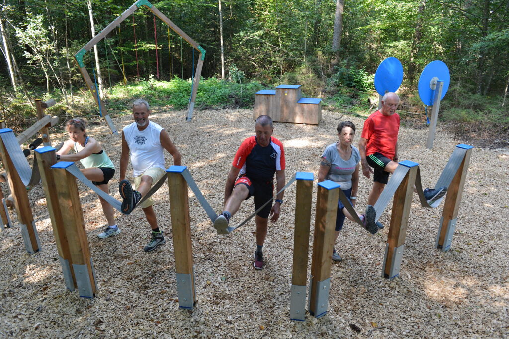 Mach den Wald zu deinem kostenlosen Fitnessstudio und bring mit maximalem Spaß spürbar mehr Schwung, Kraft und Balance in dein Leben!